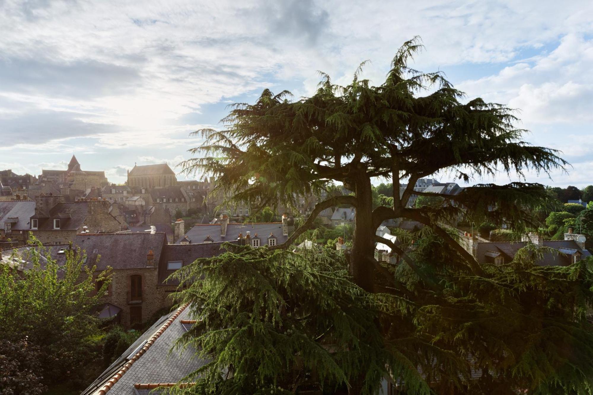 Clos Du Cedre - Chambres D'Hotes D'Exception, Luxury B&B A 디난 객실 사진
